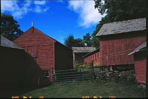 A photo of a very blue sky with clouds, multiple red farm buildings with grey roofs, and a grass path leading to a green metal gate.